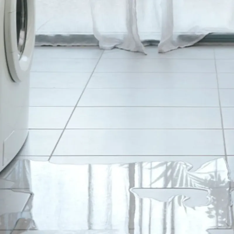 Appliance Leak Cleanup in Maple Valley, WA